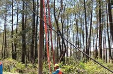 Pohon Tumbang Timpa Tiang Listrik, Ibun Bandung Padam