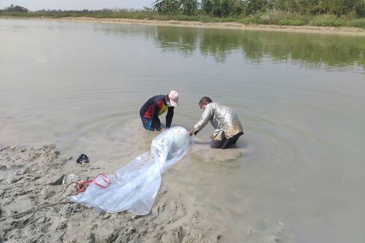 Dua warga  mengevakuasi mayat perempuan dalam karung yang ditemukan di Sungai Wulan , Desa Bungo,  Kecamatan Wedung,  Kabupaten Demak,  Jateng,  Kamis (27/4/2017). 