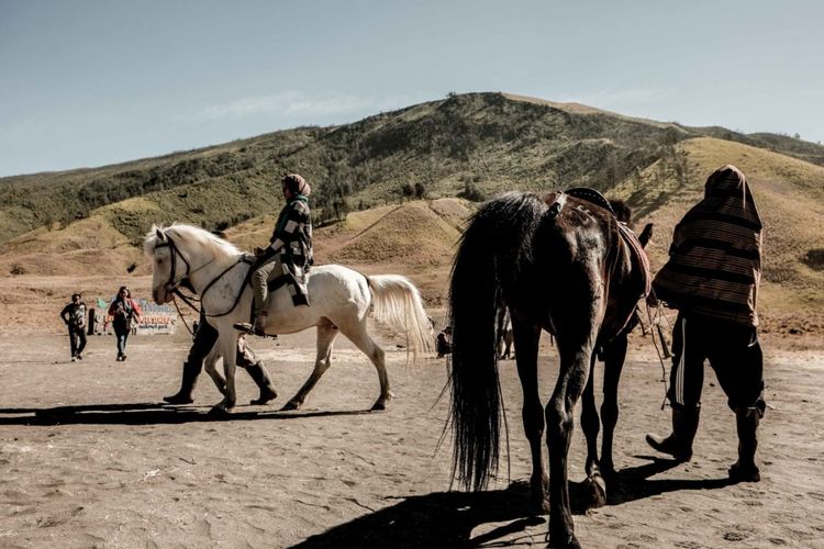 Wisatawan berkuda di kawasan Gunung Bromo