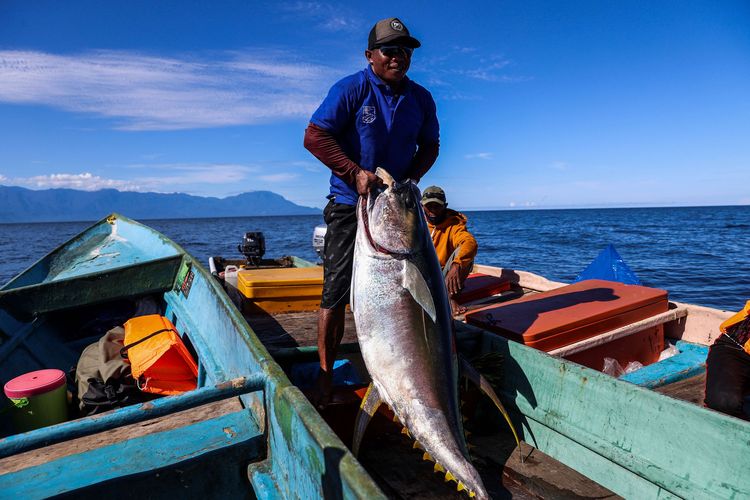 Umar Papalia, 42 tahun menunjukkan ikan tuna sirip kuning (yellowfin tuna) hasil tangkapannya diatas perahu di di Perairan Laut Seram, Maluku, Sabtu (30/11/2021). Sebanyak 123 nelayan kecil penangkap ikan tuna sirip kuning (yellowfin tuna) di Pulau Buru, Maluku, berhasil meraih sertifikat ecolabelling Marine Stewardship Council (MSC) pada tahun 2020. Sertifikasi MSC ini merupakan yang pertama di dunia untuk nelayan dengan alat tangkap pancing ulur ikan tuna sirip kuning.
