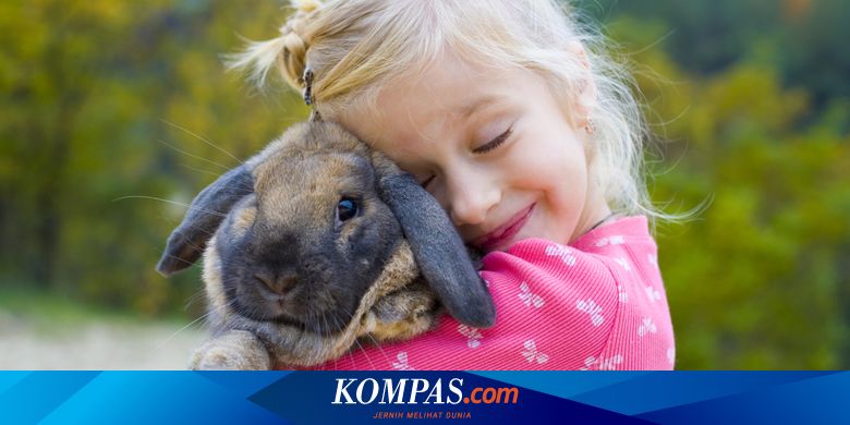 Gara Gara Manusia Otak Kelinci Menyusut Dan Berubah Bentuk