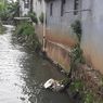 Sanitasi Buruk di Tengah Gemerlap Jakarta, Warga Buang Tinja ke Kali