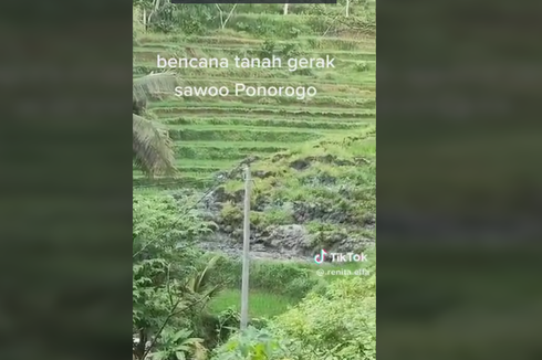 Viral, Video Sawah Longsor di Ponorogo, 1.400 Meter Lahan Padi Rusak