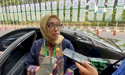 Panas Bumi dan Air Berpotensi Jadi Sumber Energi Listrik Utama Nasional