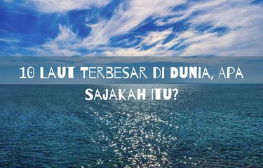 Laut adalah perairan asin yang luasnya mencapai dua per tiga wilayah Bumi. Laut Cina Selatan menjadi salah satu laut terbesar di dunia.