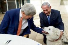 Anjing Milik PM Israel Menggigit Anggota Parlemen