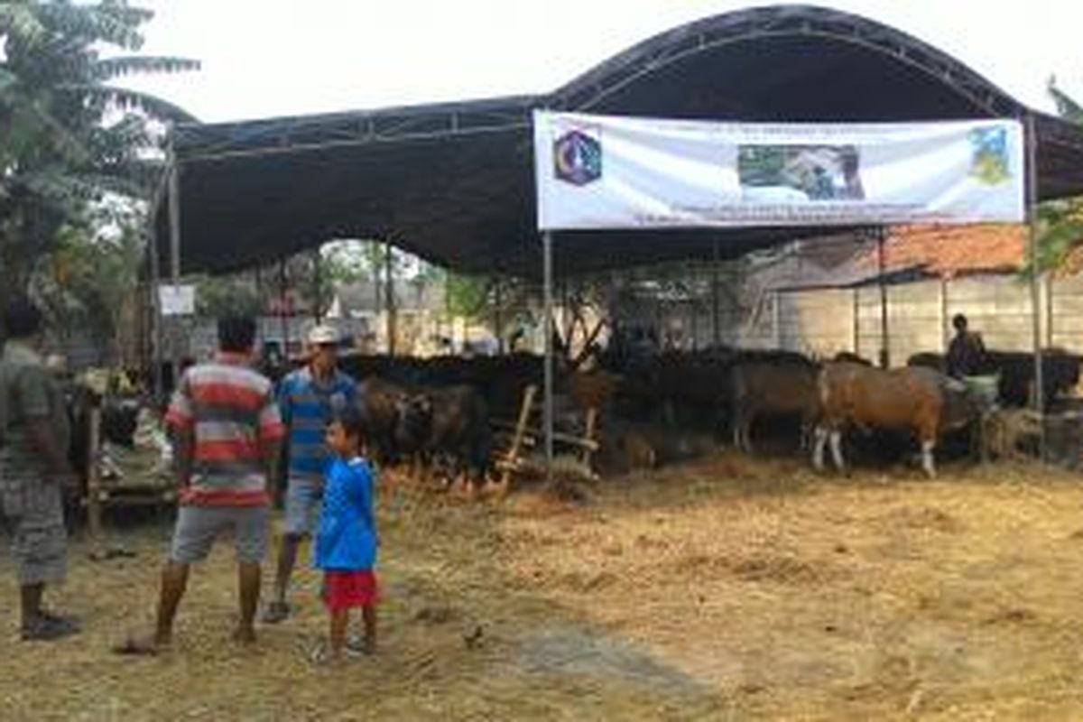 Lokasi penjualan hewan korban di Jalan TB Simatupang, Jakarta Selatan, Rabu (9/9/2015).