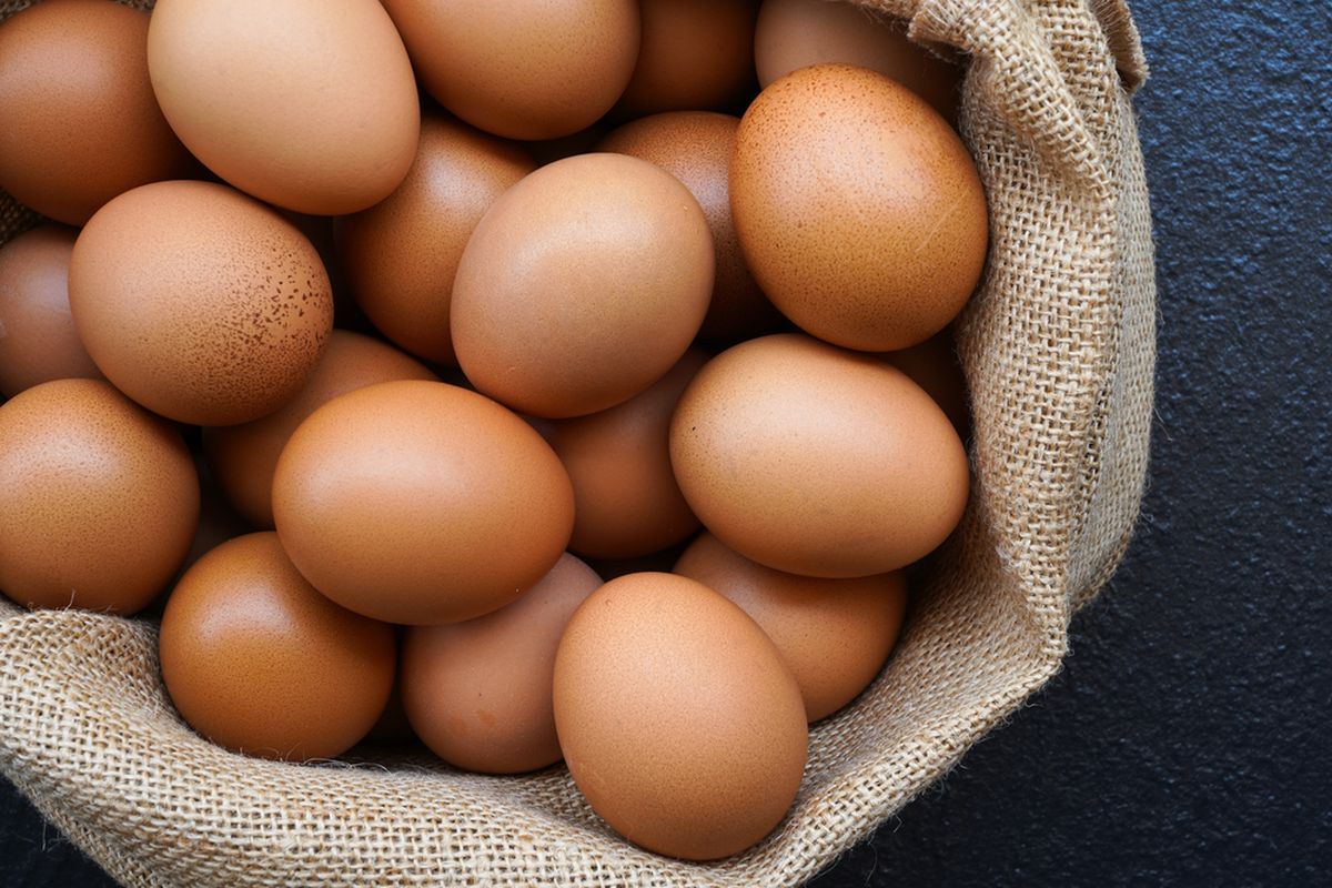Ilustrasi telur ayam.