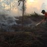 Tingkat Kebakaran Lahan Gambut Menurun, Bisa Tekan Emisi 