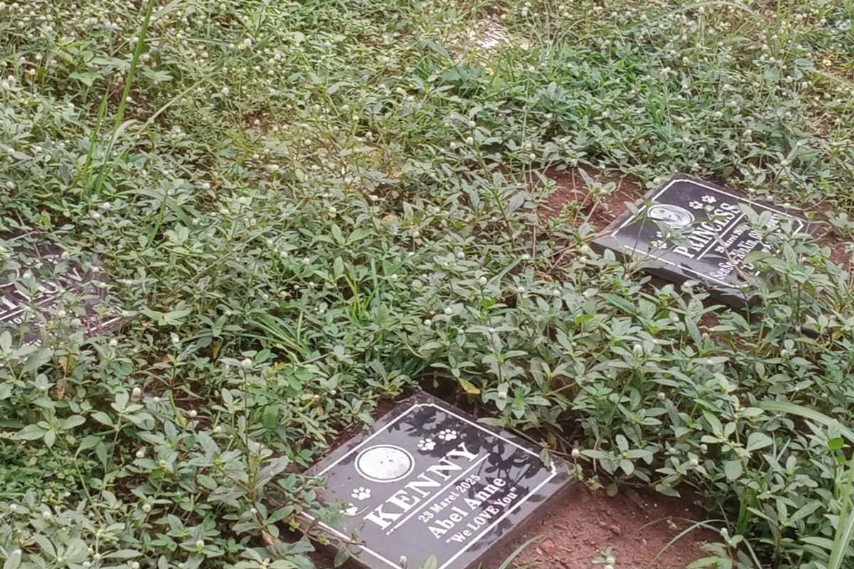 Kuburan hewan di Jalan Joyo Agung II RT 04 RW 03, Kelurahan Tlogomas, Kota Malang, Jawa Timur. 