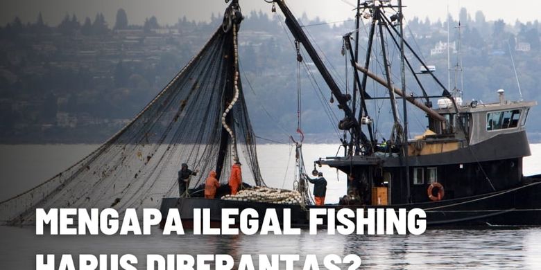 Mengapa Illegal Fishing Harus Diberantas?