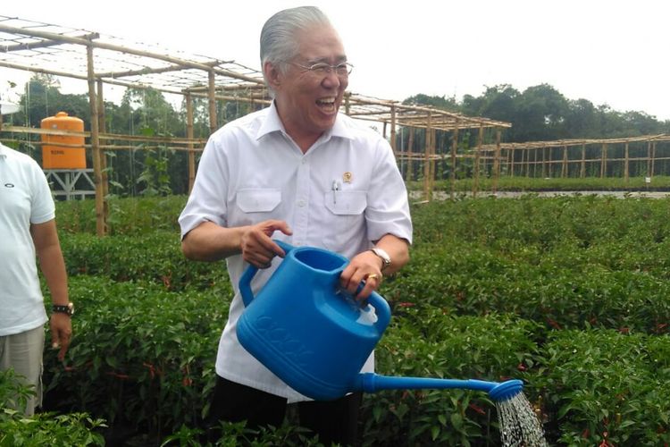 Menteri Perdagangan, Enggartiasto Lukita, bersama Ketua Dewan Pembina APTRI, Arum Sabil, saat Menyiram Bibit Cabai di Kompleks City Forest and Farm Kabupaten Jember, Jawa Timur, Kamis (16/3/2017).