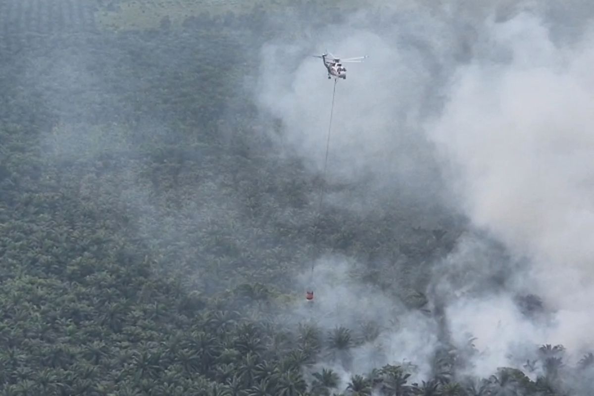 Tim Satgas Udara Lanud Roesmin Nurjadin Pekanbaru memantau titik api karhutla yang sedang dipadamkan menggunakan helikopter, di Kabupaten Pelalawan, Riau, Selasa (30/7/2024).