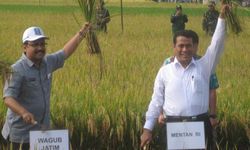 Begini Cara Pemerintah Wujudkan Indonesia Menjadi Lumbang Pangan Dunia