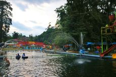 Serunya Berenang dengan Ikan Dewa di Kuningan