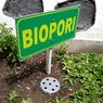 Cara Mengolah Sampah Organik dengan Biopori, Lubang Penangkal Banjir, Panen Kompos Tanpa Ribet