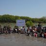 Eiger Tanam 10.000 Mangrove, Selamatkan Pesisir Pantai Utara Jabar