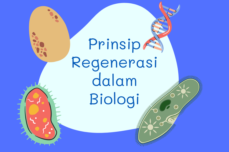 Ilustrasi prinsip regenerasi dalam biologi