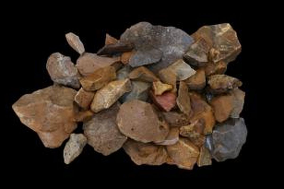 Alat batu dari Talepu memberi petunjuk adanya manusia purba yang menghuni Sulawesi sejak 200.000 tahun lalu. 