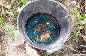 2 Granat Aktif Ditemukan Anak-anak Saat Main di Sungai Sergai Sumut