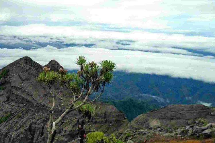 Gunung Ranti