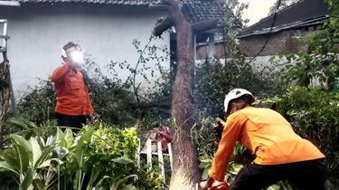 Hujan Deras dan Angin Kencang Landa Blitar, Atap Garasi Terbang, Pohon-pohon Tumbang