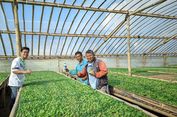 Pengetahuan Jadi Bekal Petani dan Perajin Pangan untuk Lebih Mandiri