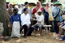 Jokowi Tugaskan BUMN Bangun 'Cold Storage' untuk Bantu Petani