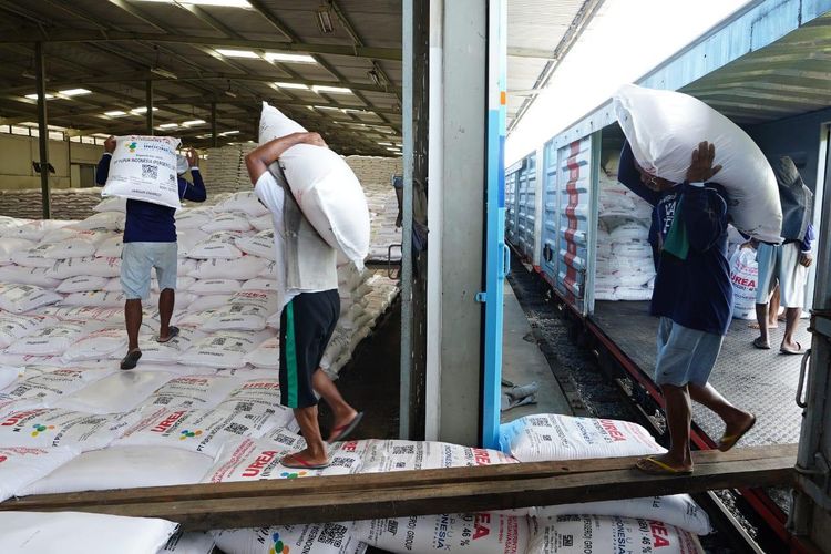 Rupiah Melemah Tajam, Harga Pupuk Subsidi Nasional Ikut Naik? 