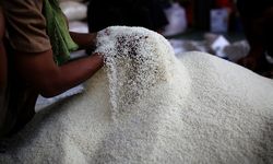 Produksi Beras 2025 Naik 13,29 Persen, Pengadaan Bulog Tembus 4 Juta Ton