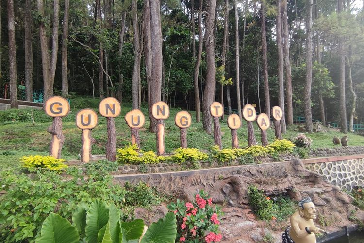 Grebeg Suro Bukit Tidar Magelang 2026 Digelar 14-15 Juni, Ini Jadwal dan Rute Kirab Ogoh-ogoh