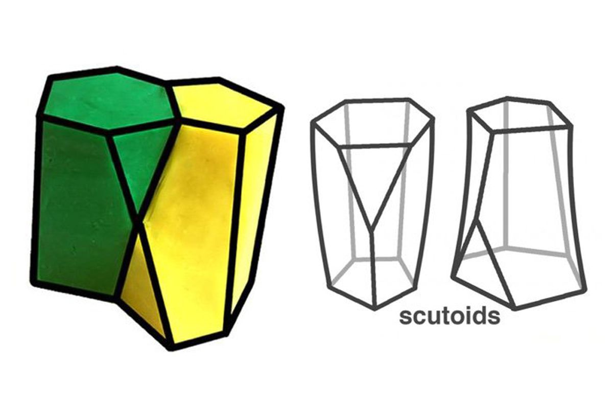 Scutoid ketika digabungkan (kanan) dan dipisahkan (kiri)