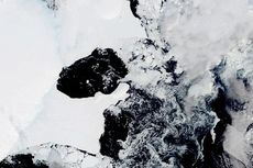 Lapisan Es di Wilayah Terdingin Antartika Runtuh karena Gelombang Panas
