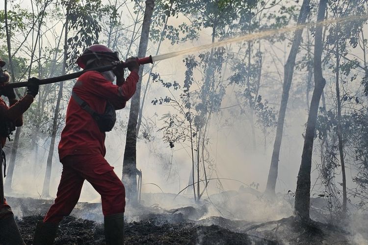 Kabut Asap Memburuk di Musi Banyuasin, Siswa PAUD hingga SMP Belajar dari Rumah