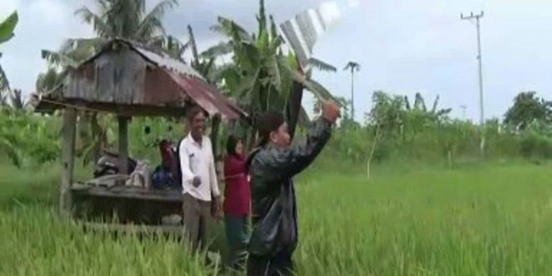 Petani Polman Kerahkan Keluarga Jaga Petak Sawah Dari Serangan