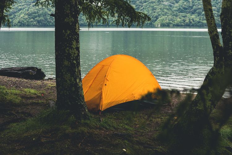 Habiskan Waktu di Hutan Bisa Tingkatkan Sel Imun, Ini Penelitiannya