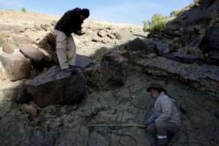 Para ilmuwan sedang mengukur jejak kaki abelisaurus, dinosaurus predator yang banyak hidup di Amerika Selatan sekitar 80 juta tahun lalu. Jejak kaki ini ditemukan di wilayah tengah Bolivia.