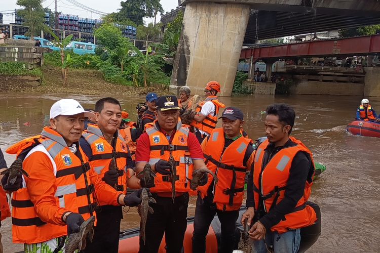 Pemkot Jaktim Berencana Beri Insentif ke Warga yang Bantu Tangkap Ikan Sapu-sapu