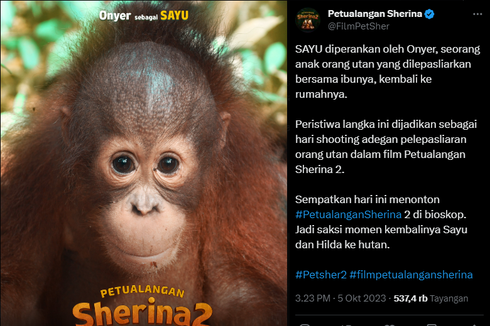 Mengenal Onyer, Orangutan Pemeran Sayu di Film Petualangan Sherina 2