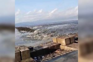 Gempa NTT Picu Peringatan Tsunami, Air Laut Naik dan Bikin Warga Mengungsi di Pesisir Buton