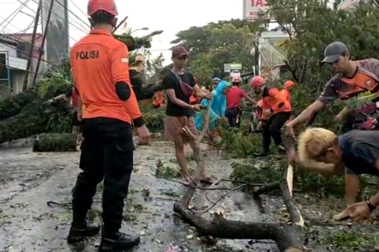 Pohon perindang jalan di wilayah Kota Tasikmalaya tumbang akibat hujan disertai angin kencang mengguyur wilayah Kota Tasikmalaya, Jawa Barat, Minggu (26/12/2021) sore.