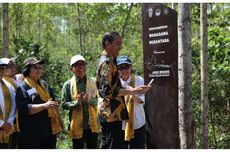 UGM Kelola Hutan Wanagama di IKN, Luasnya 621 Hektar