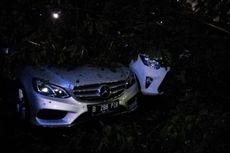 Mobil Mewah Tertimpa Pohon Tumbang di Senayan