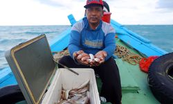 MIND ID Komitmen Perkuat Pendampingan Budidaya Ikan Laut