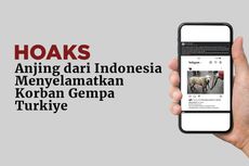 INFOGRAFIK: Muncul Hoaks Anjing Indonesia Ikut Misi Penyelamatan Korban Gempa Turkiye
