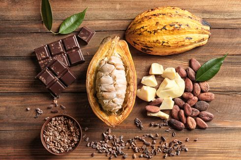 Indonesia Turun ke Peringkat 6 Penghasil Kakao Terbesar Dunia, Mengapa?