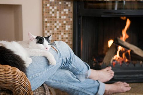 6 Alasan Kucing Suka Tidur di Pangkuan atau di Dekat Pemiliknya