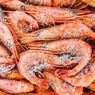 18 Kontainer Udang yang Ditolak Masuk AS Dikembalikan ke BMS Food