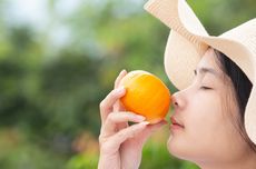 6 Obat Anosmia Alami untuk Mengatasi Hidung Tidak Bisa Mencium Bau