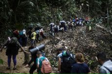 Kebakaran Hutan Kolombia Hancurkan Lebih dari 17.000 Ha Lahan